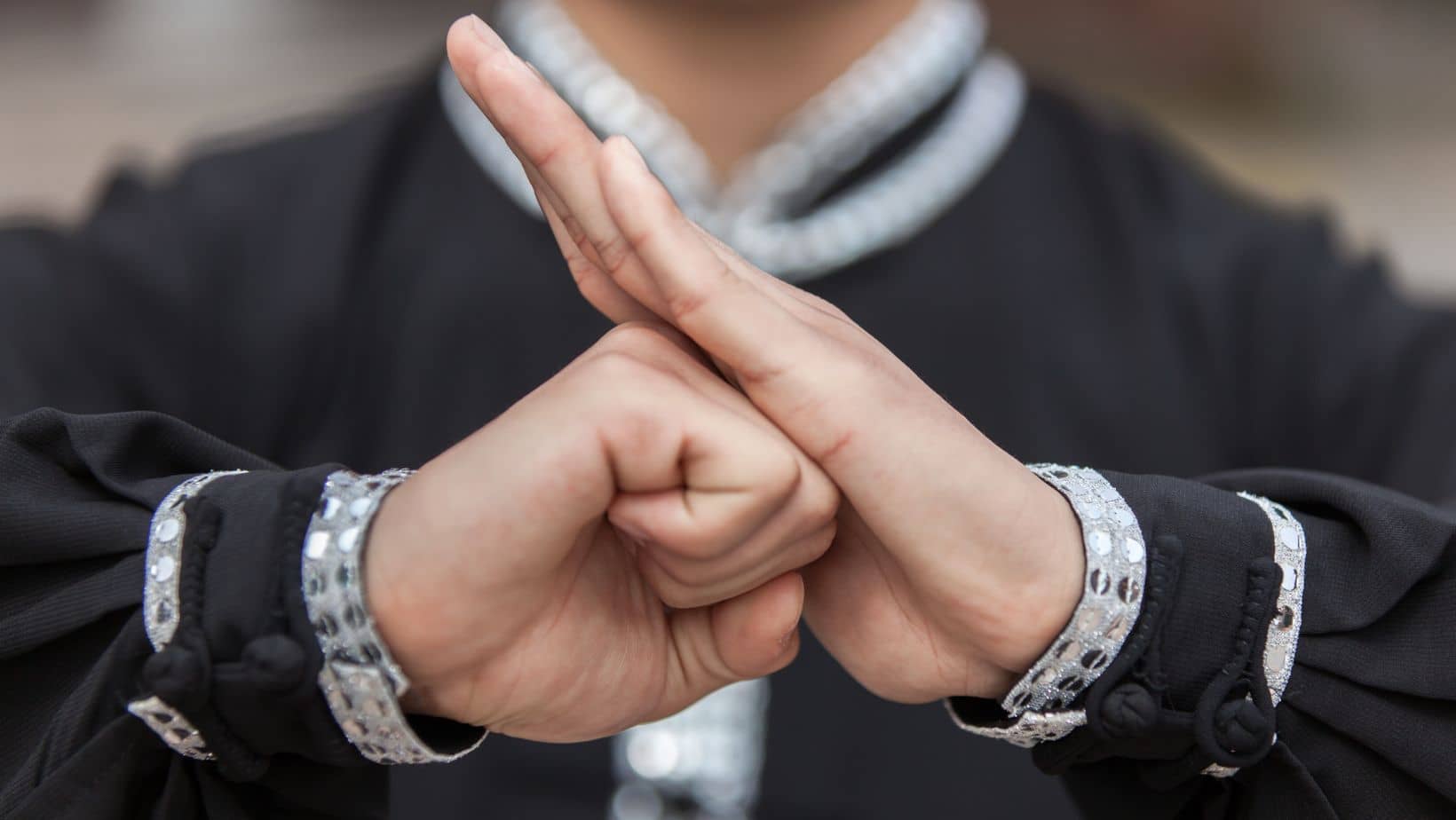 Martial artist in a traditional black and silver robe performing the fist-and-palm salute gesture