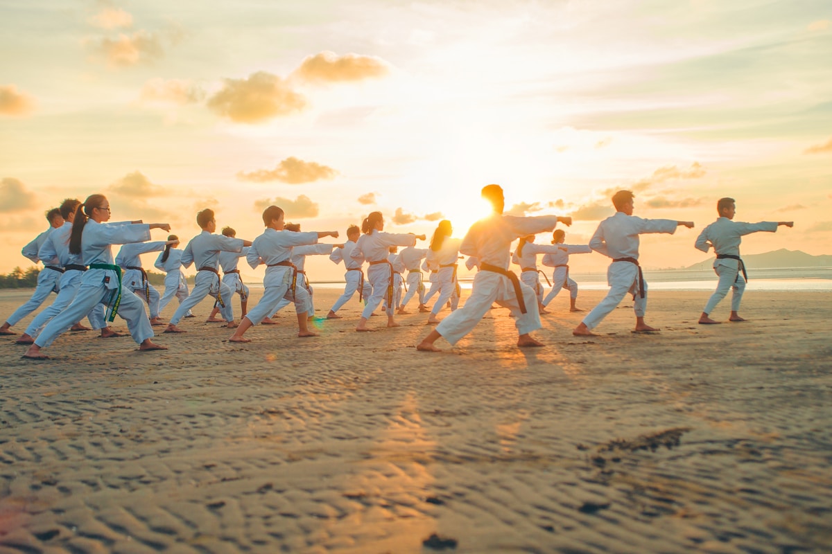 Contact Hero – Martial Arts Practice (1200×800) Martial arts practitioner in focused training