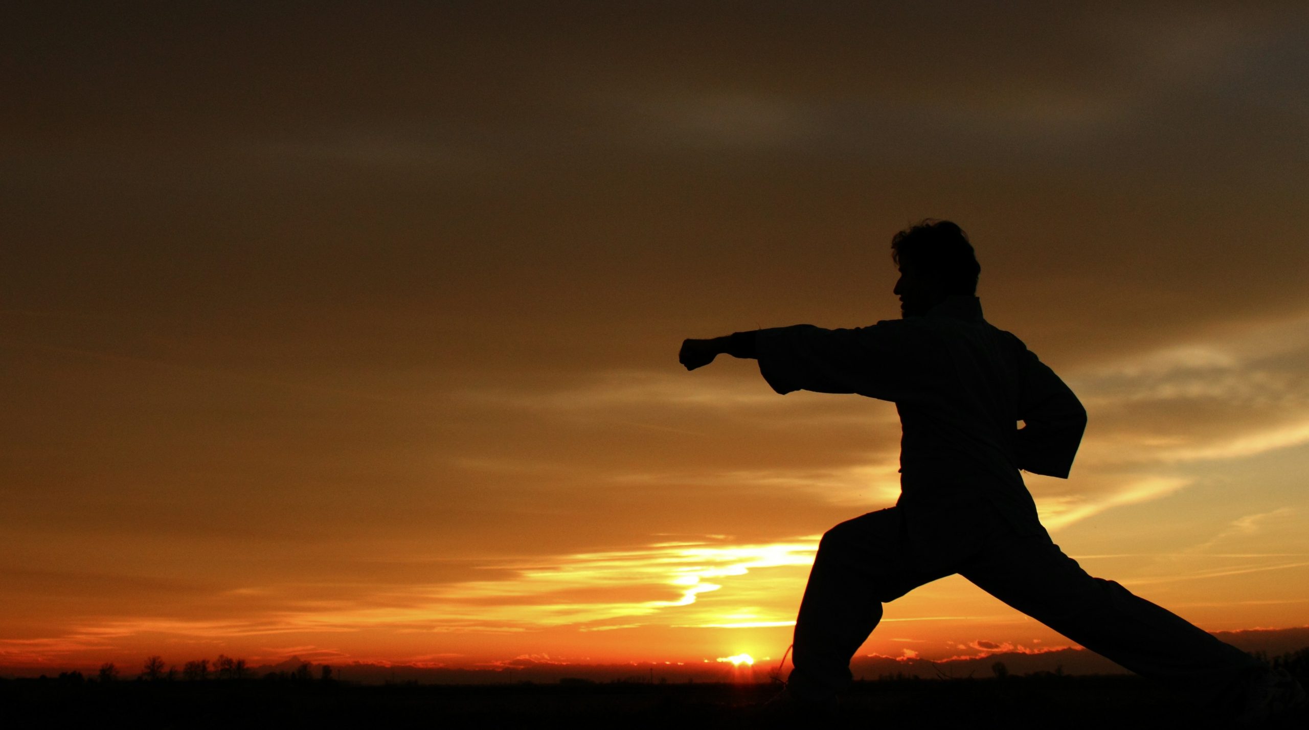 Silhouette of an adult Kung Fu practitioner in a deep training stance against a dramatic sunset