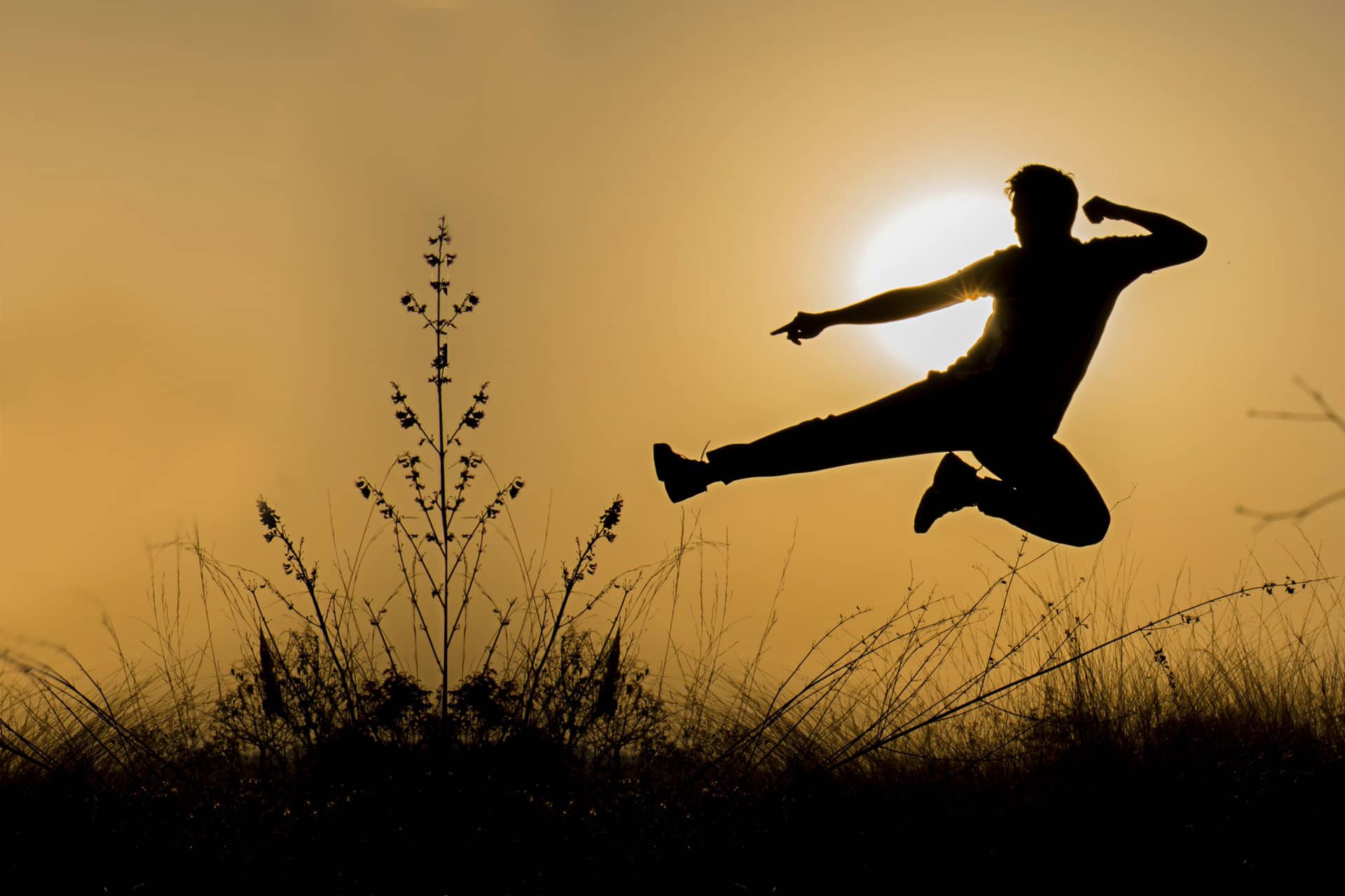 kung-fu-martial-arts-johannesburg Silhouette of a martial artist performing a flying Kung Fu kick against a dramatic sunset