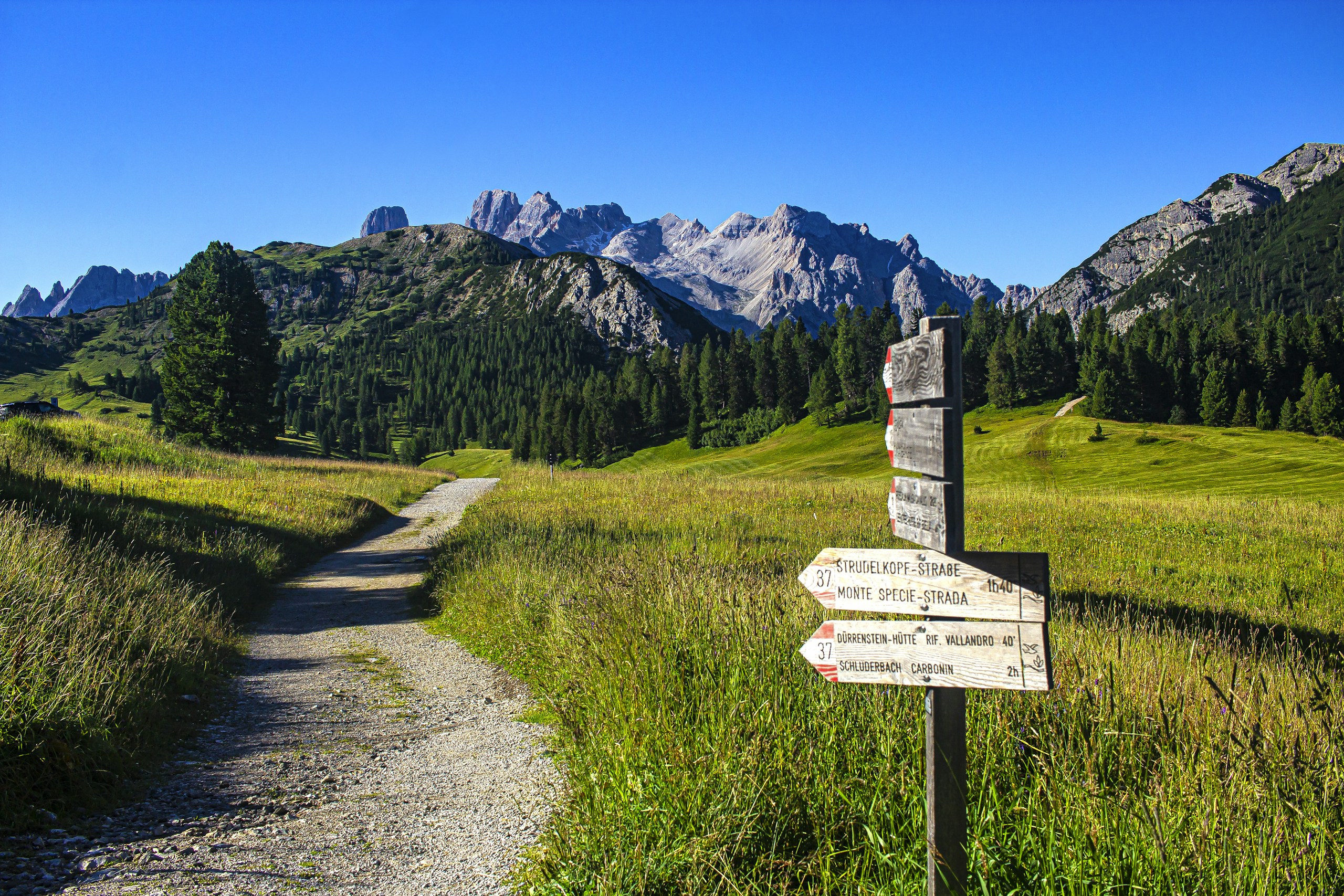 A weathered trail signpost pointing in different directions on a mountain path, symbolising the choice between Kung Fu, Tai Chi, and Chi Kung at Gui Yi