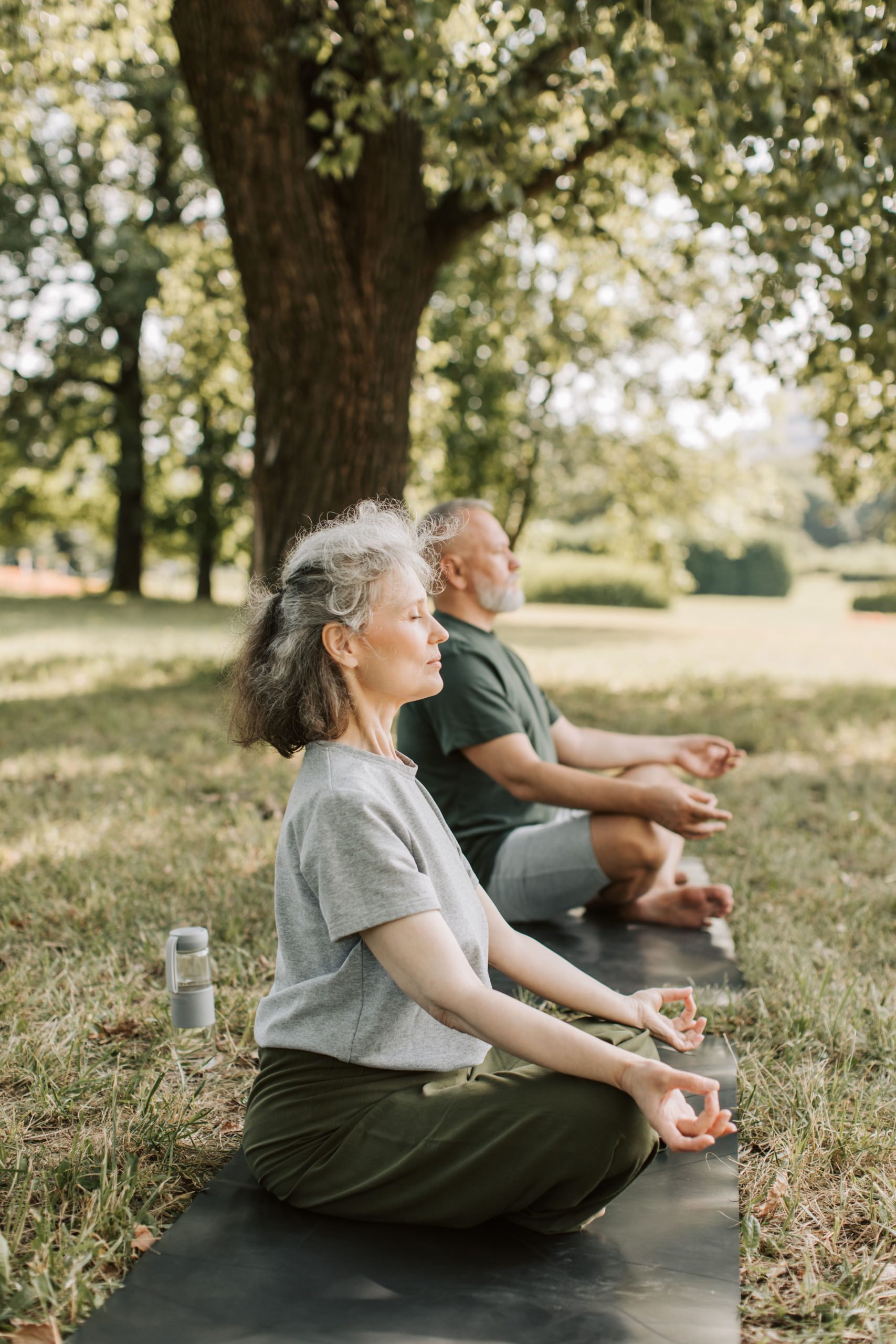 Meditative Tai Chi and Qigong Practice Outdoors Two practitioners seated in a calm meditative posture outdoors under a tree, reflecting the Qigong (氣功) energy-cultivation aspect of Tai Chi Chuan