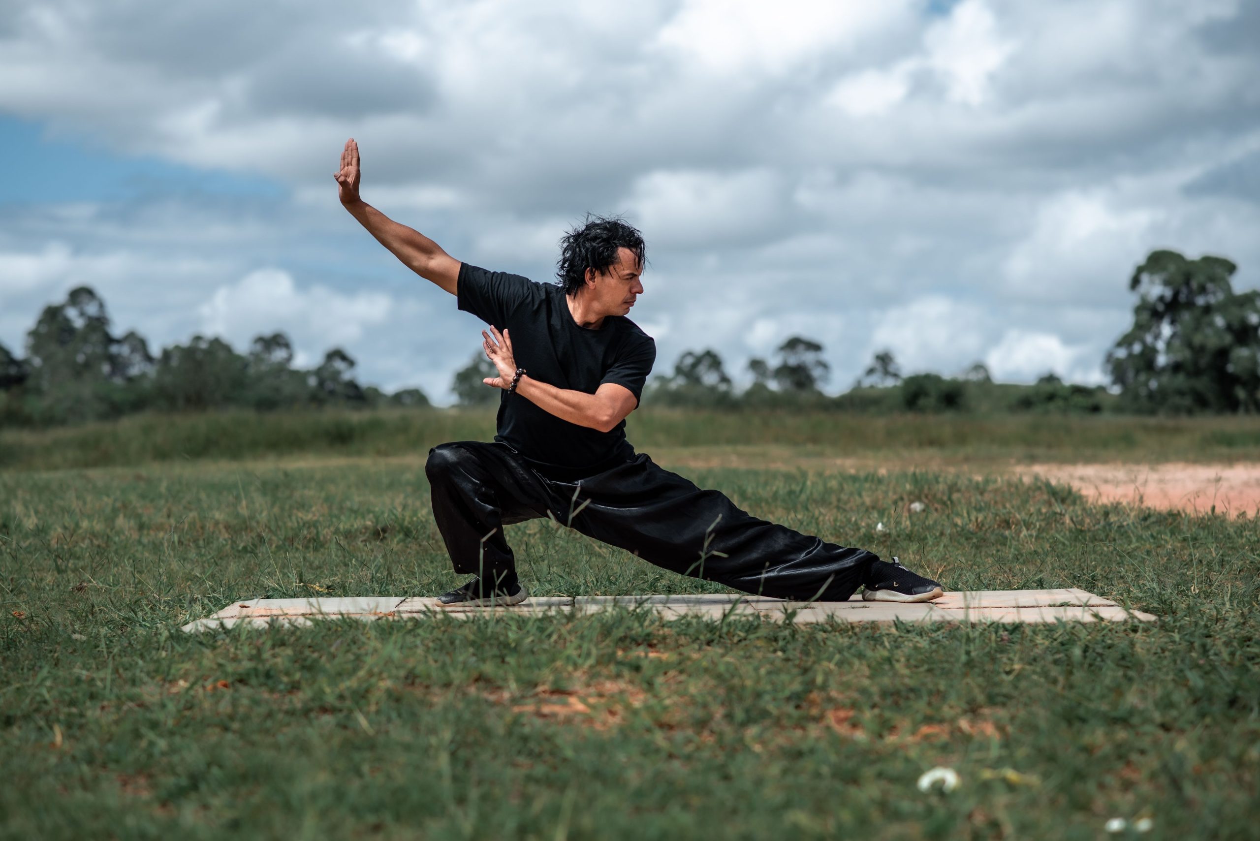 Tai Chi for Young Adults Hero – Dynamic Stance Field Martial artist in a dynamic lunge and deflection stance in an open field, practising Tai Chi Chuan (太極拳)
